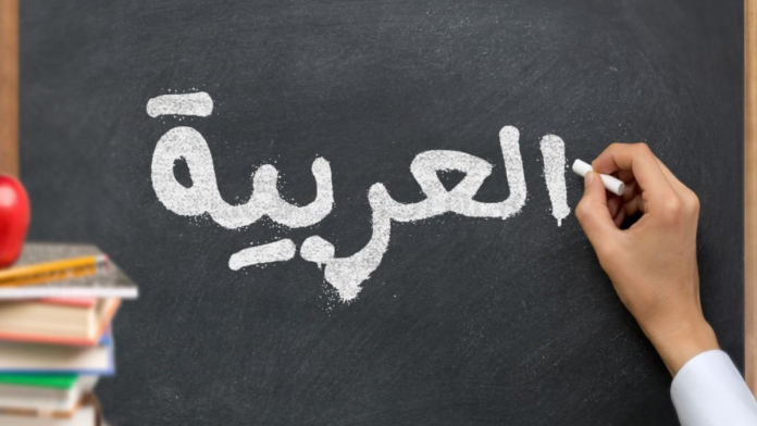 Arabic learning platform for educators